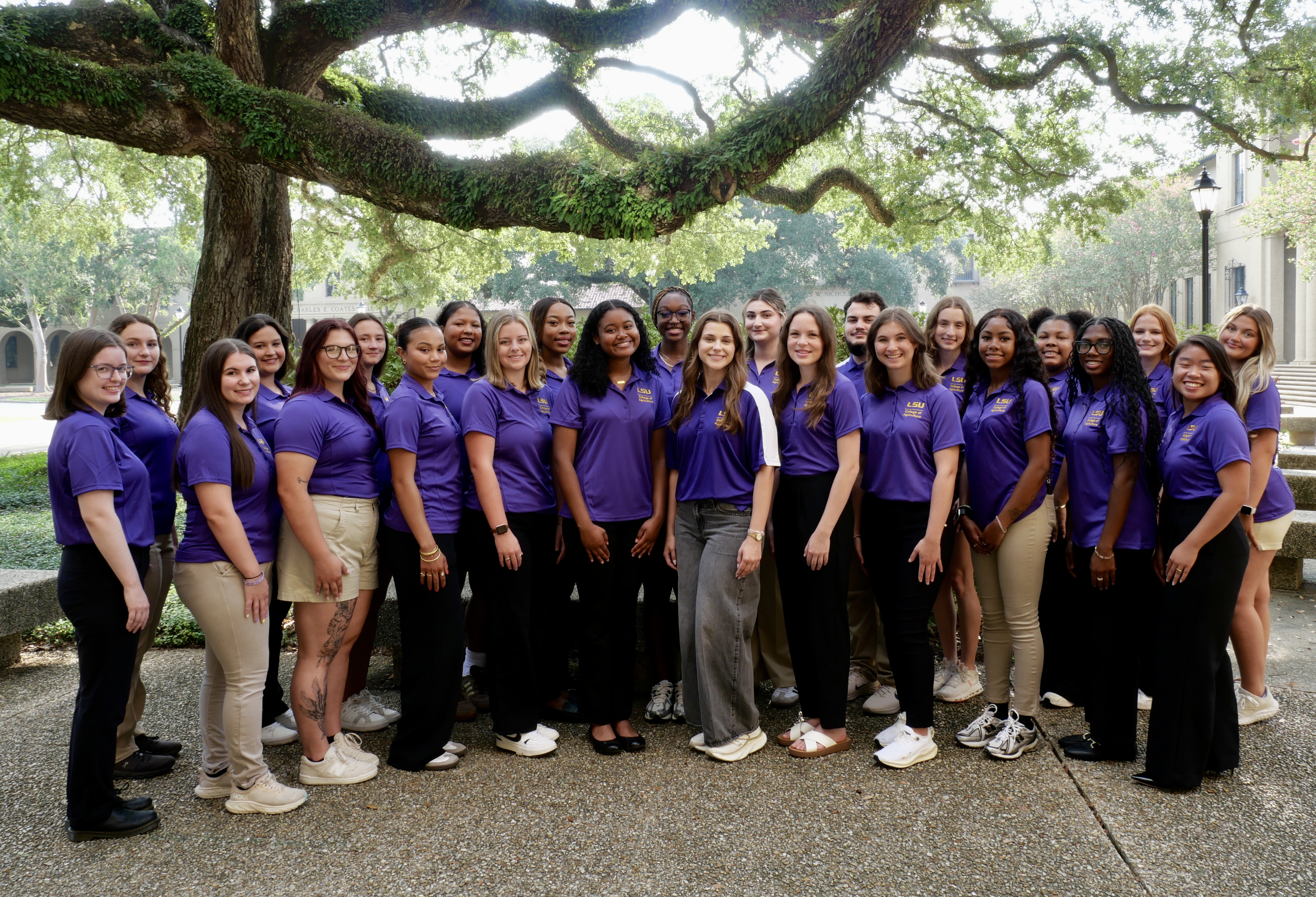 Group Peer Mentor Photo