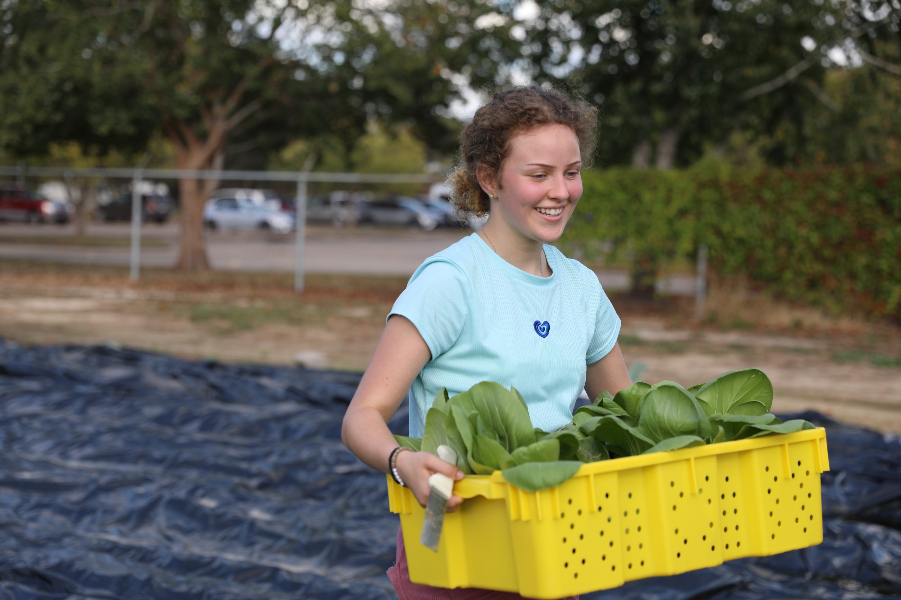 Person in community garden