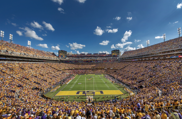 tiger stadium crowd during gold game