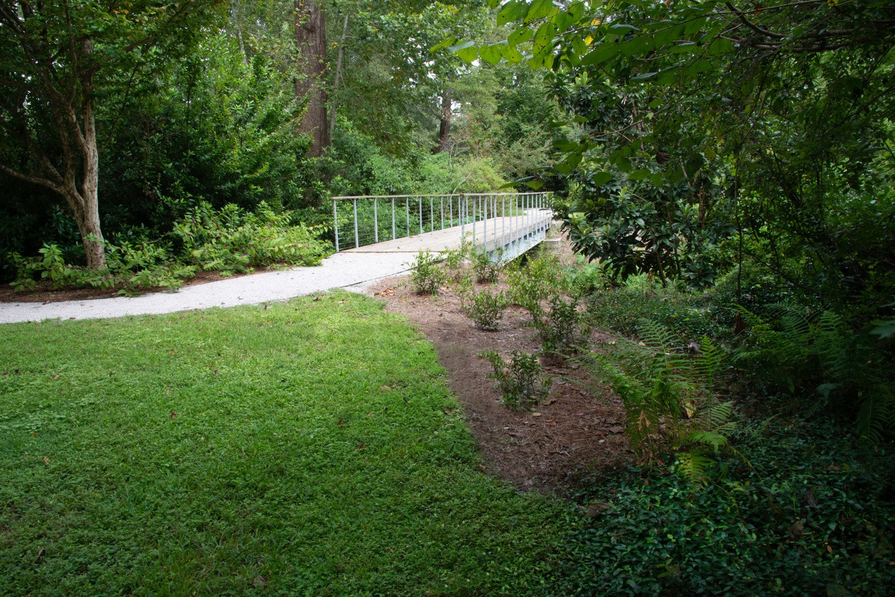 planting by footbridge