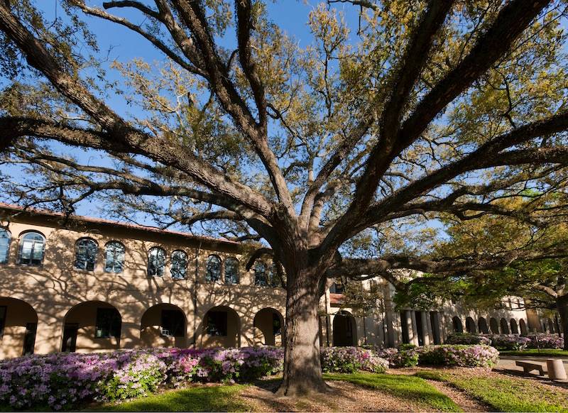 LSU Department of History