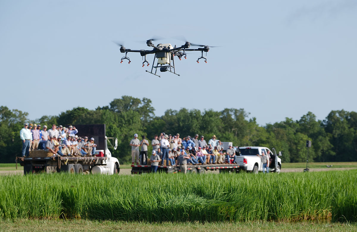 Attendees of the annual LSU AgCenter H. Rouse Caffey Rice Research Station field day view a demonstration of a spray drone.