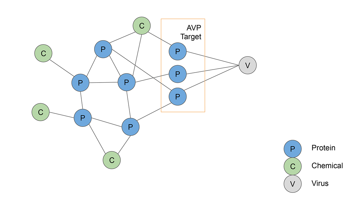 Graph showing mapped anitiviral peptides