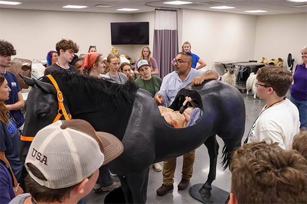 4-H visit