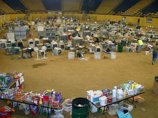 arena floor covered with rows of crates holding dogs