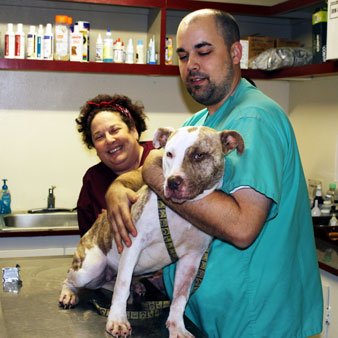 Veterinarian and veterinary student examining a dog at a shelter